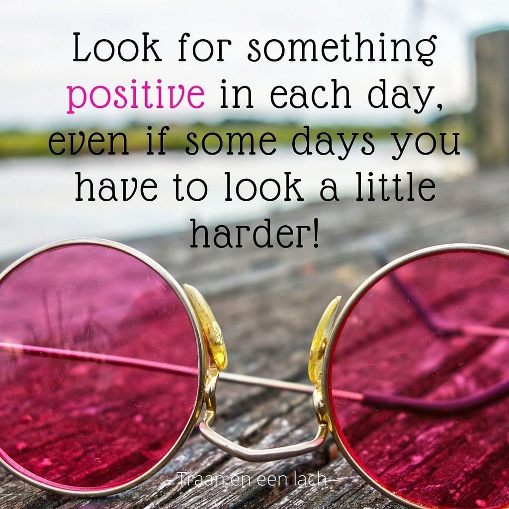 Quote - Look for something positive in each day, even if some days you have to look a little harder - Traan en een Lach