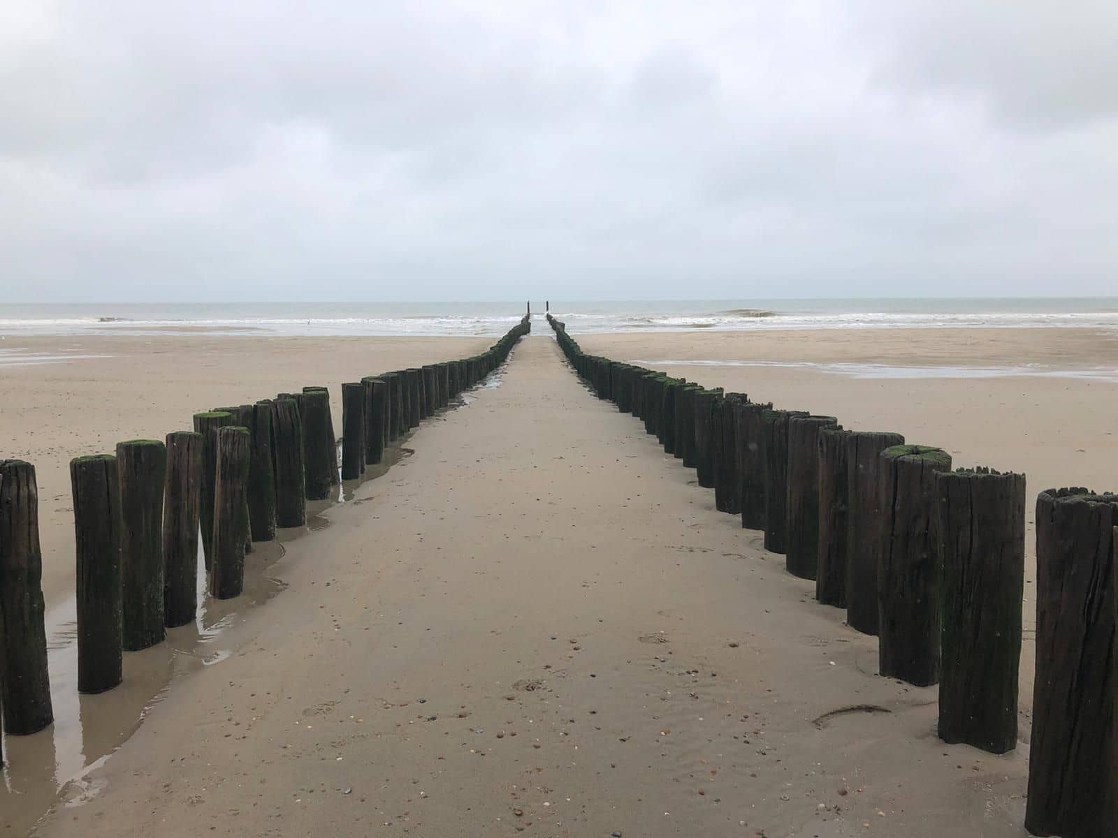 Rouwroute naar horizon Rouw - Een rouwroute vinden naar een nieuwe horizon. Nog niet zo makkelijk. Wel haalbaar met kleine stappen vooruit - Traan en een Lach