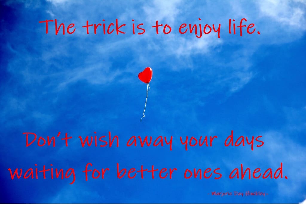 Quote - The trick is to enjoy life. Don't wish away your days waiting for better ones ahead - Traan en een Lach