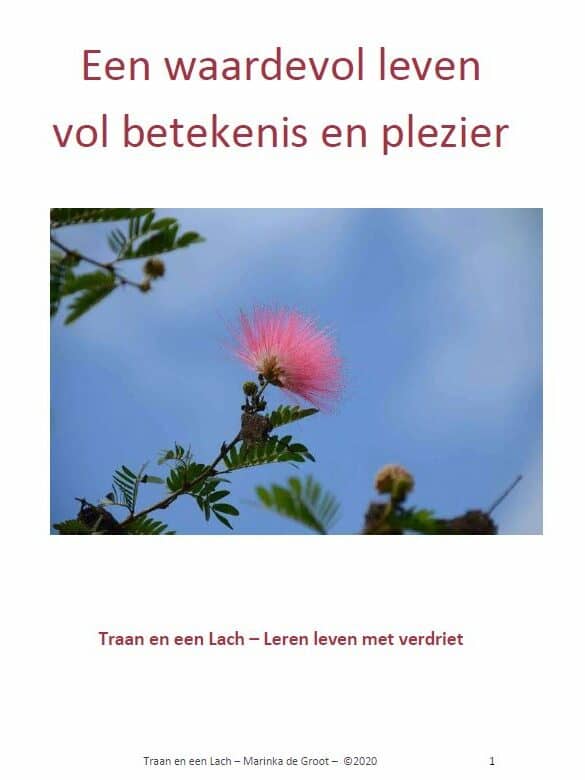 E book Leren leven met verdriet - Afbeelding E book Leren leven met verdriet - Afbeelding