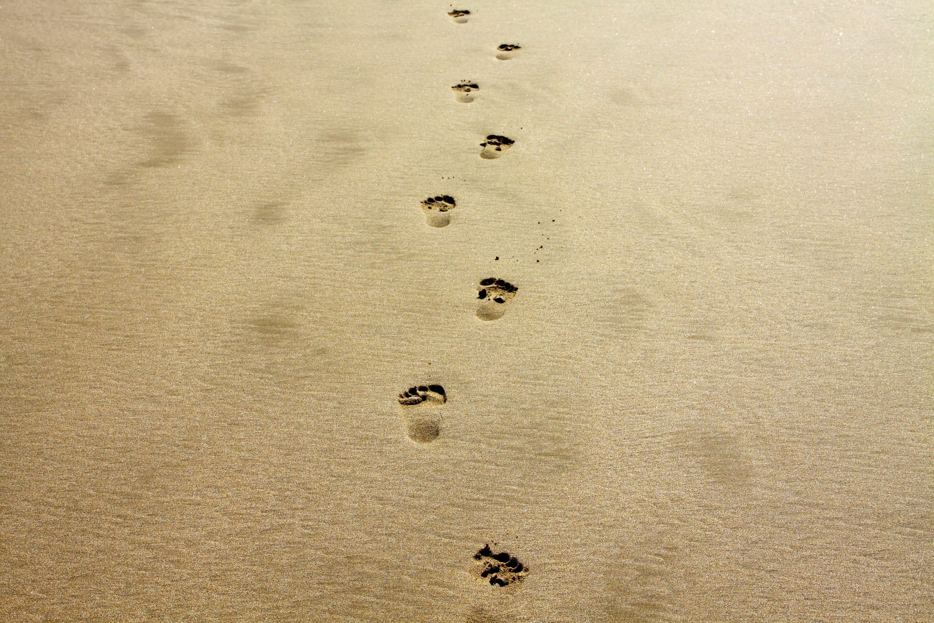 voetstappen in het zand - je eigen rouwroute lopen - Traan en een Lach