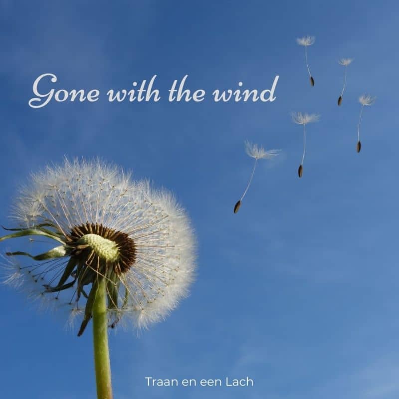 Gone with the wind. Traan en een Lach