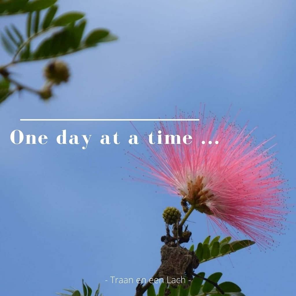 Quote - One day at a time - Traan en een Lach
